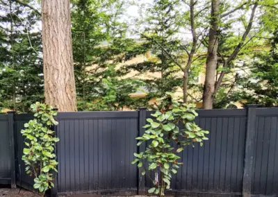 Black vinyl privacy fence installation in Seattle