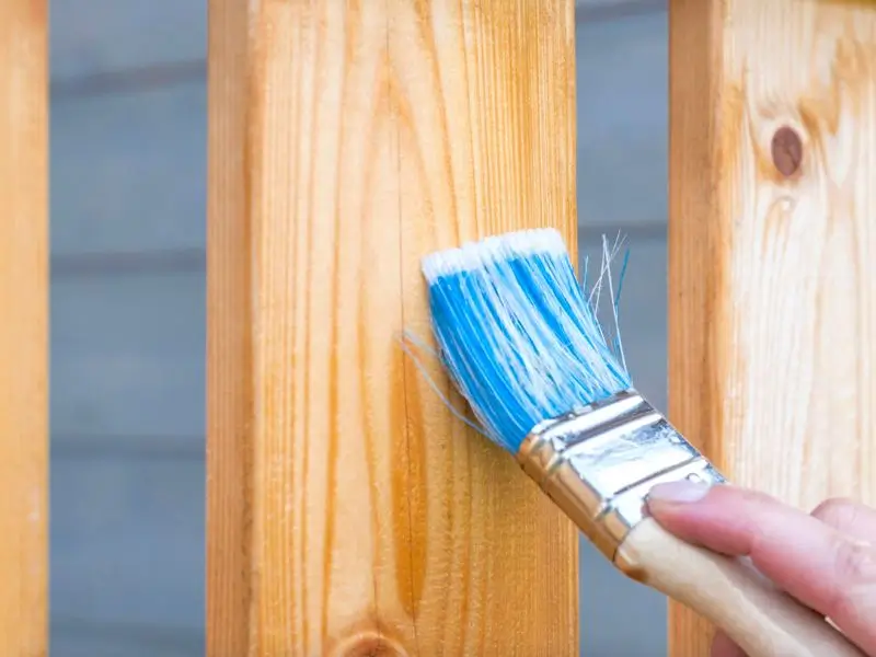 Applying protective wood stain to a fence with a paint brush<br />
